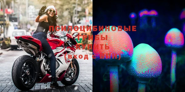 гашик Навашино