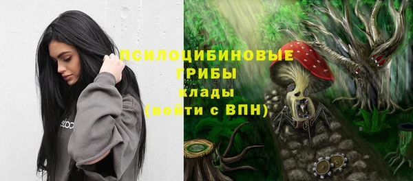прущий лед Надым