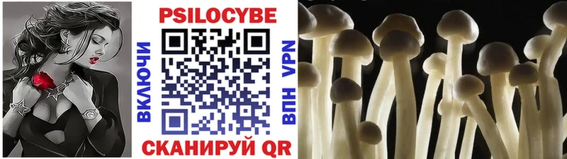 МЕГА онион  Серпухов  Галлюциногенные грибы Psilocybe 