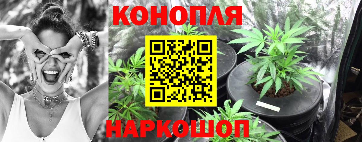 Канабис гибрид Серпухов